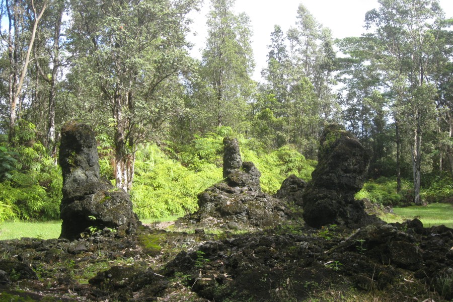 ../image/lava tree state park 3.jpg